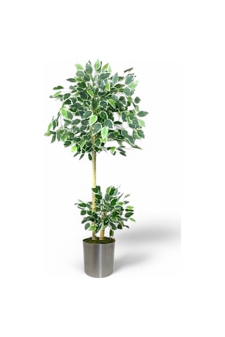 150 Cm Ficus Yapay Ağaç Bambu 2 Gövdeli Metal Saksı Yeşil