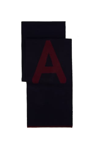 U.s. Polo Assn. Erkek Lacivert Kaşkol 50298107-vr033 Lacivert