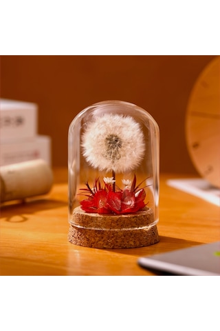 Mantar Tabanlı Sonsuz Karahindiba Cam Kubbe Süsü Kırmızı