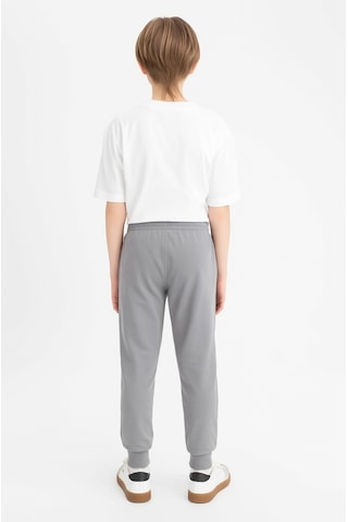Ahengim Erkek Çocuk Basic Jogger Paça Okul Eşofman Altı Ak-2350 Gri