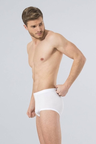 Türen Erkek Ribana Slip 001
