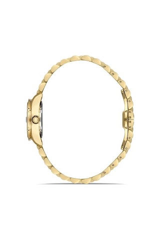 Ql156g-02sg Hislon Kol Saati 22 Mm / Gold Gri