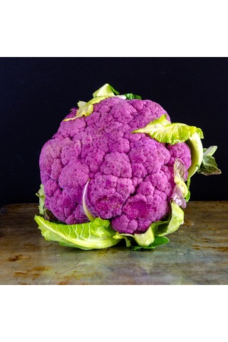 Sicilya Mor Karnabahar Tohumu