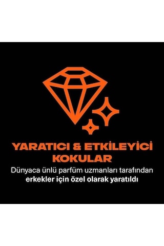 Axe Premium Collection Duş Jeli Copper Santal 300 Ml X 2 Adet PKT.AXE.016 Diğer