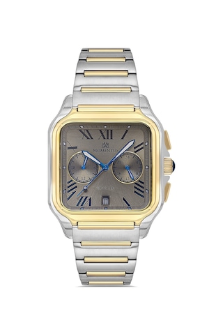 Momentus Men's Time Master Tm348t-03sg Gümüş - Altın