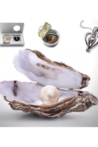 Peluş ayıcık ve istiridye içinde gerçek inci kolye Kedi Çidarlı B