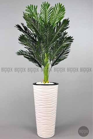 Biçiçek Areka Ağaci 150 Cm Beyaz Kumsal Saksıda Tek Gövdeli̇