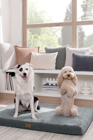 Yataş Thor Kedi & Köpek Yatağı Small