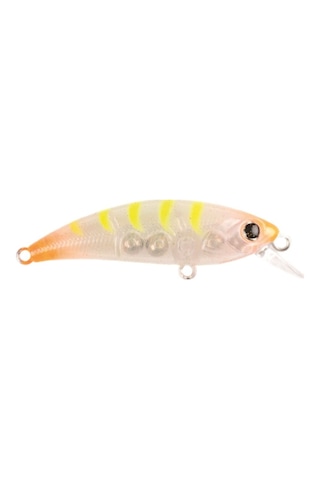 Hanfish Zıpır 50 Kg K-12 Uv Shrimp