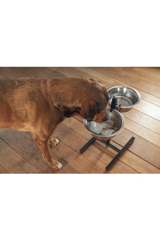 Beeztees Köpek İkili Mama Su Kabı, Ayaklı, Paslamaz Çelik, 28cm, 2x4,5l