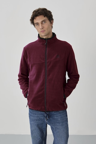 Tommy Life Erguvan Yazı Nakışlı Dik Yaka Fermuarlı Standart Kalıp Erkek Sweatshirt Polar - 87992 Mor