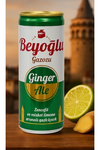 Beyoğlu Ginger Ale Zencefil Aromalı Gazlı İçecek 24 x 250 ML