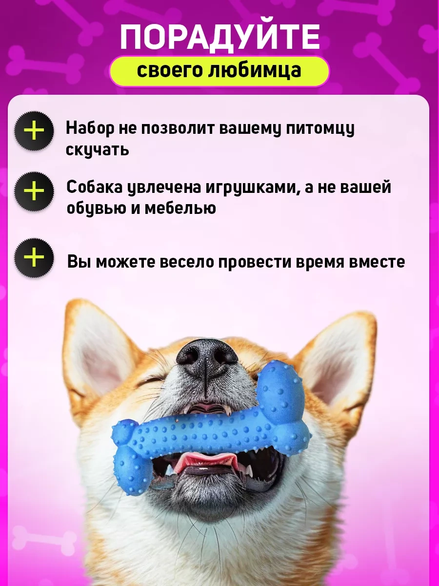 Tooth For Tooth Köpekler İçin Oyuncak Seti 247504935