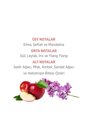 Emotion Romance Kadın Parfüm EDT 50 ML