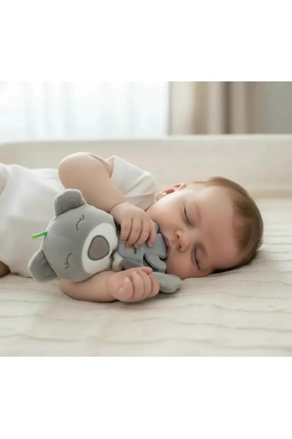 Babyjem Diş Kaşıyıcılı Uykucu Ayıcık 680 Gri
