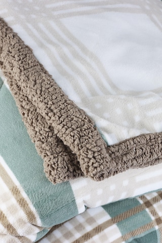 Merinos Comforter Tek Kişilik Yorgan Seti Yeşil 160x240