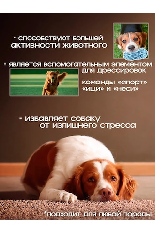 Zoolend Köpekler İçin "terlik" Diş Temizleme Oyuncağı 269556962