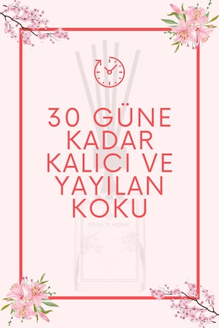 Vivaldi Home Lavanta Çubuklu Oda Kokusu 100 ML