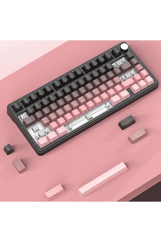 Black Gradiant Rgb Kablosuz Hotswap Mekanik Gaming Klavye Oyuncu Klavye