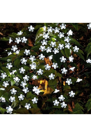 Çiçek Desenli Güneş Enerjili Bahçe Aydınlatma 50 Led Beyaz Işık