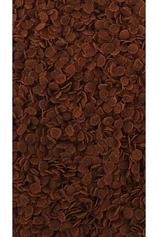 Protein Red Algae 250ml, Spirulina Garlic 100ml Balık Yemi