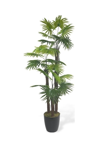 Yapay Ağaç Palmiye Fanpalm 3katlı 24yaprak 130 65cm