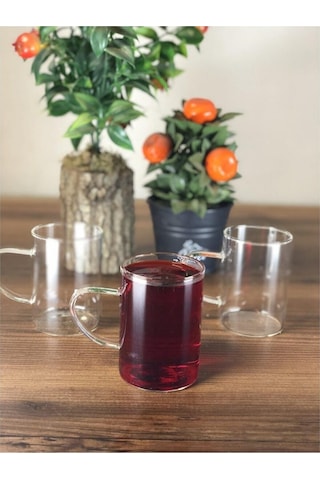 Termisil Cam Ateşe Dayanıklı Kupa 6 Adet 220 ML