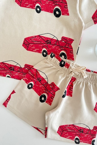 Monila Erkek Çocuk Pamuklu Bisiklet Yaka Araba Baskılı T-shirt Ve Şort Alt Üst Takım Taş
