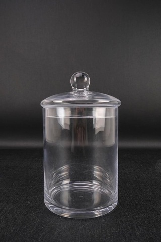 Digithome Tekli Cam Kapaklı Erzak Saklama Kabı Kavanoz Şeffaf 20,5 Cm Kv.sln.002 C1-1-288