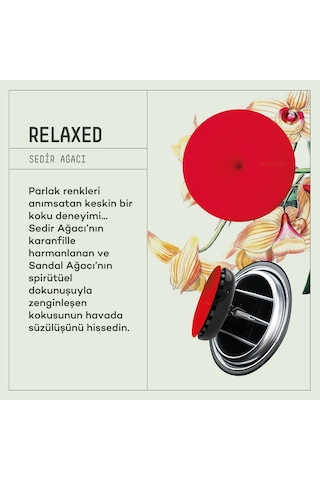 Vavana Araba Klima Kokusu, Spin Oto Kokusu Energetic & Relaxed Set
