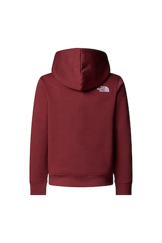 The North Face Teen Drew Peak Pullover Hoodıe Genç Çocuk Sweatshirt Nf0a8ehh0vo1 Çok Renkli