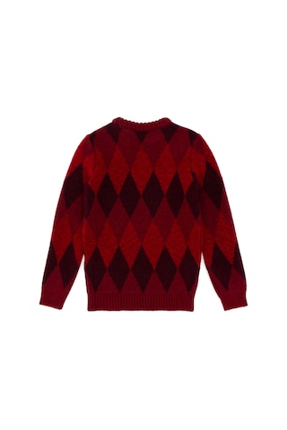 U.s. Polo Assn. Erkek Çocuk Vişne Kazak /triko 50293014-vr223 Vişne