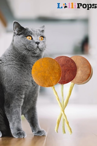 Pet Pops Freeze Dry Lolipop Bal Kabaklı Kedi Ödülü