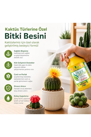 Kaktüs Ve Sukulent Bitki Besini Sprey Form Kolay Uygulama 500 Ml