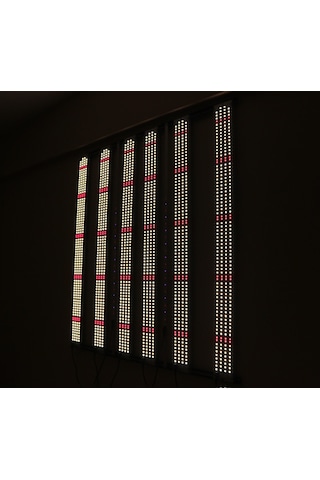 680w Lm281b Bitki Yetiştirme Lambası Full Spektrum
