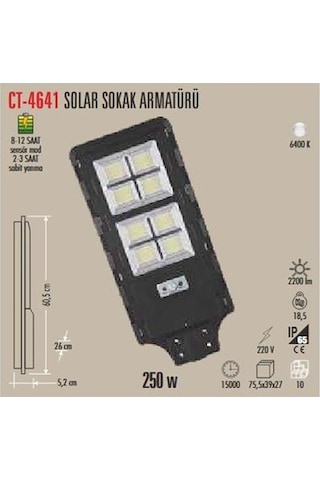 250w Solar Sokak Armatürü Siyah