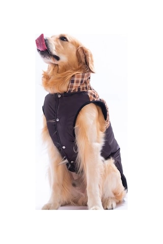 Pawstar Kahverengi Elgin Paws Su İtici Orta-büyük Irk Köpek Puf Yelek Yağmurluk