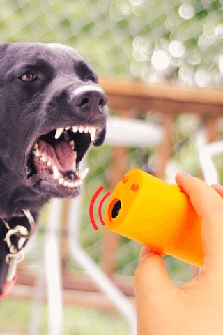 Büro Ev Ofis Personel Güvenliği İçin Köpek Kovucu Ultrasonik Cihaz