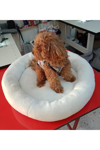 Devigo Isıtıcılı Kedi Köpek Yatağı
