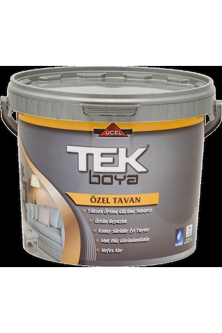 Tek Boya Tavan Boyası Plastik Beyaz 20 KG