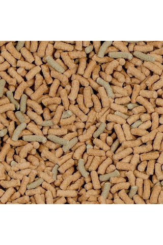Sera Raffy P Kaplumbağa Yemi 1000 Ml 250 Gr