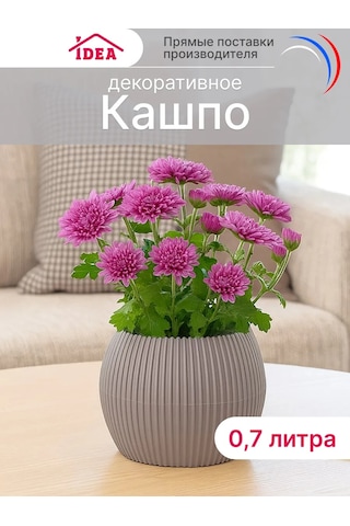 Idea İç Mekan Ve Sukulentler İçin Saksı 0,7l 147333882