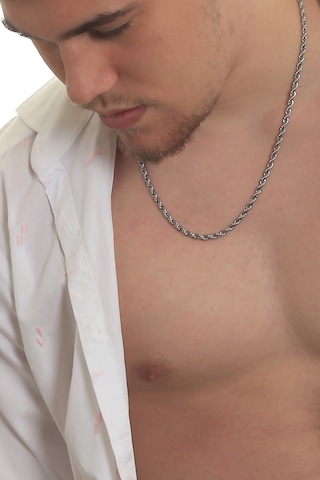 Labalaba Erkek Burgu Zincir Çelik Kolye Gümüş