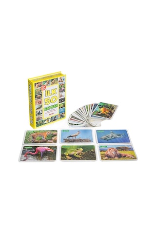 Diytoy F.cards Yaşam Alanında İlk 50 Hayvan