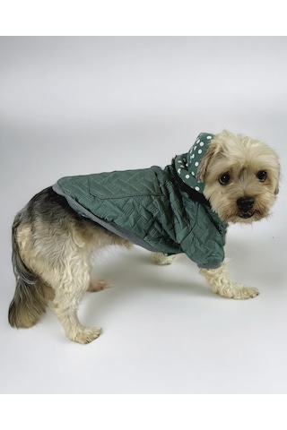 Kemique Green Comfie Köpek Montu Ceketi Köpek Dış Giyim