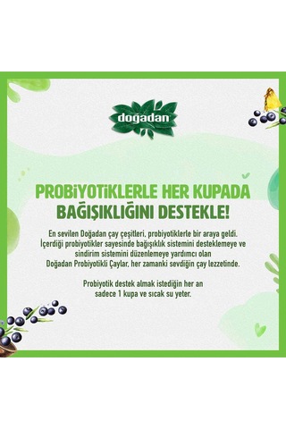 Doğadan Probiyotikli Yeşil Çay Açai Ananaslı 2 x 14'lü