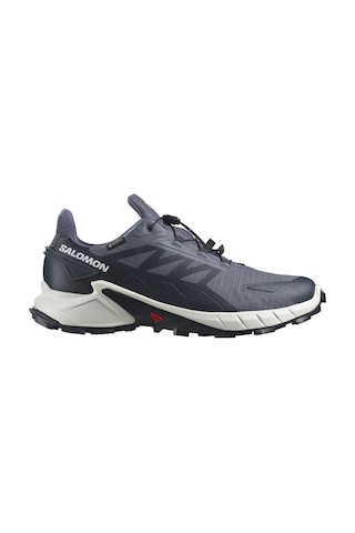Salomon Supercross 4 Gtx Grisaille/white/carbon Salomon L47462300 001