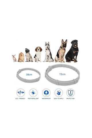 Pire Ve Kene Yaka Köpekler İçin Alüminyum Kasa İle Kediler, Boyut: 72cm Turuncu Çok Renkli