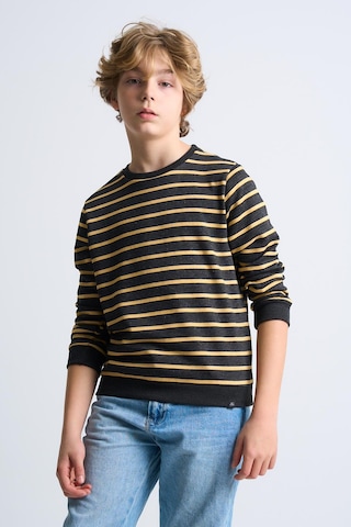 Alexandergardi Alexandergardı Çizgili Bisiklet Yaka Çocuk Sweatshirt Antrasit
