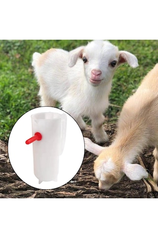 Suntek 800ml Kuzu Besleme Kapları Küçük Kuzu Keçi Beyazı